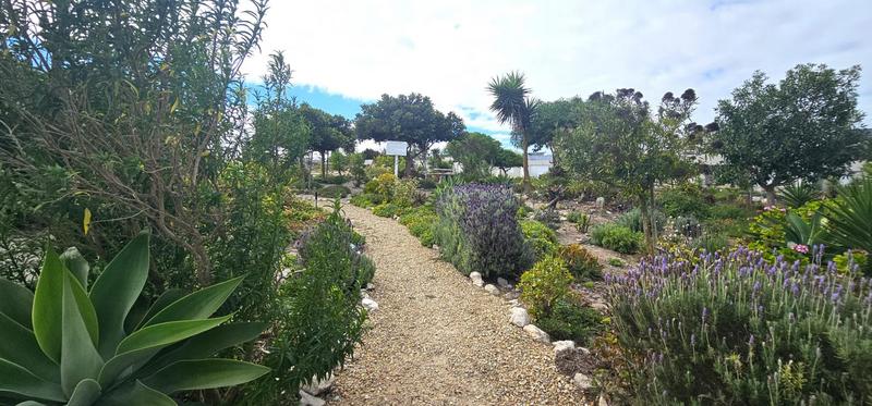 3 Bedroom Property for Sale in Villa Diamante Western Cape